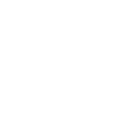 IDENTITEK Logo